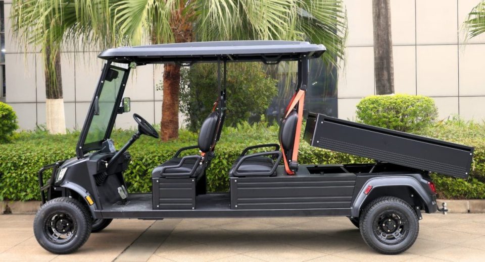 A golf cart pickup truck? GEM-maker launches diverse new LSV line